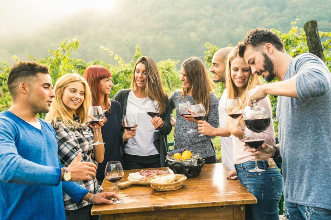 Photo of Group of happy friends having fun outdoors drinking red wine - Young people eating local fresh food at grape harvesting in farmhouse vineyard winery